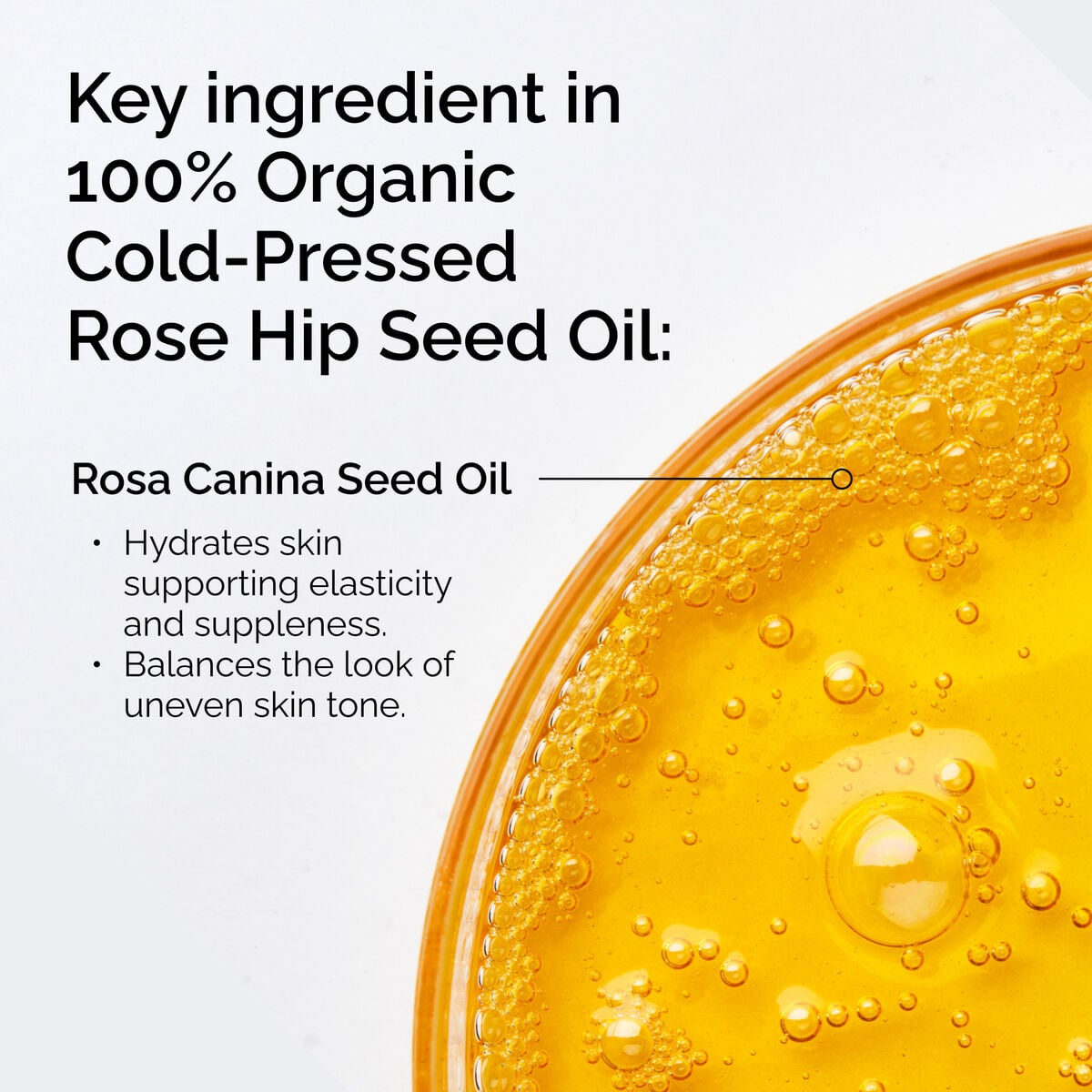 100-organic-cold-pressed-rose-hip-seed-oil-n6 FY25-D41247-ORD-Web-PDP-100-Rose-Hip-Oil-1x1-EN-2.jpg