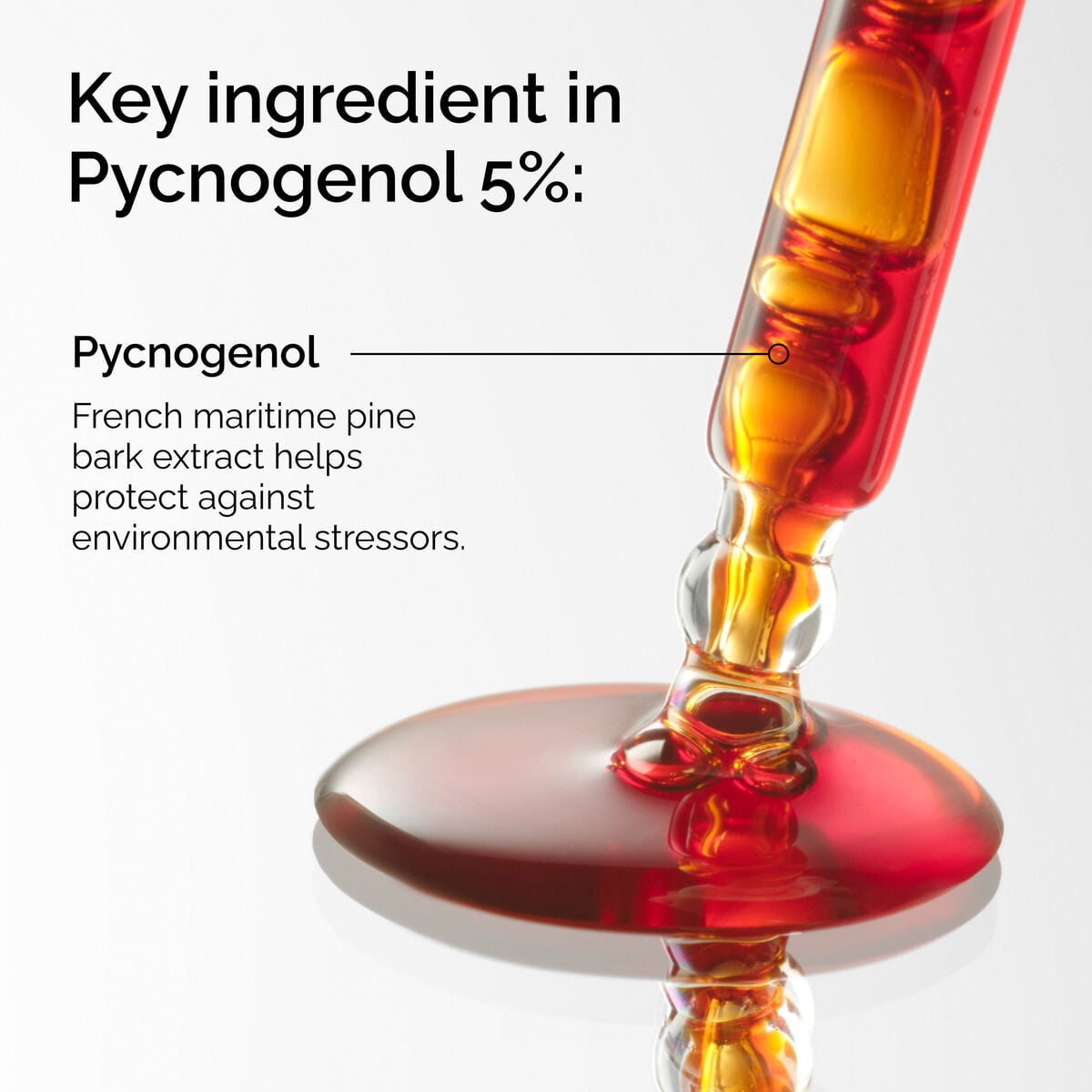 pycnogenol-5-w2 FY25-D41247-ORD-Web-PDP-Pyc-5pct-1x1-EN-2a.jpg