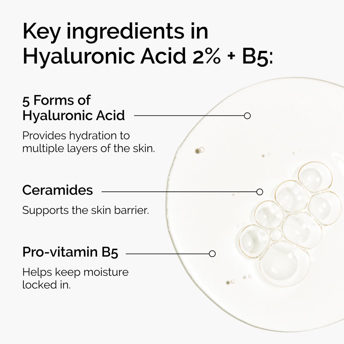 hyaluronic-acid-2-b5-with-ceramides-a3 ord-hyaluronic-acid-2pct-b5-hydrating-serum-ingredients-graphic.jpg