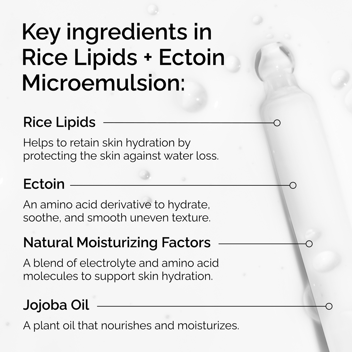 rice-lipids-ectoin-microemulsion-y0 ord-rice-lipids-ectoin-microemulsion-key-ingredients.png
