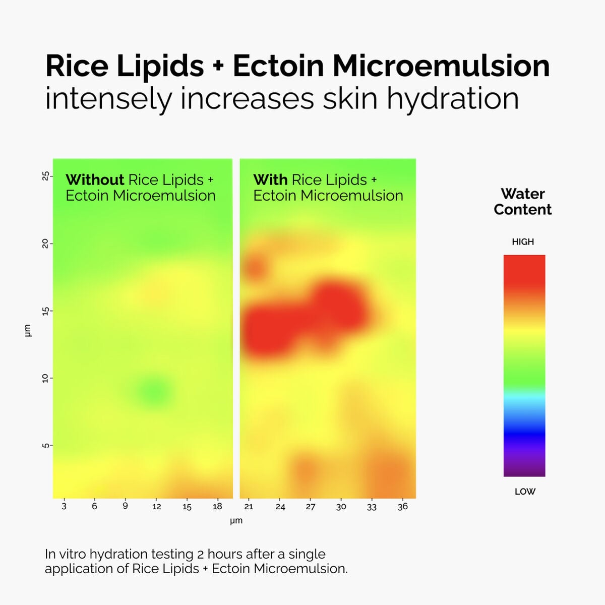 rice-lipids-ectoin-microemulsion-y0 ord-rice-lipids-ectoin-microemulsion-thermal-before-after.jpg